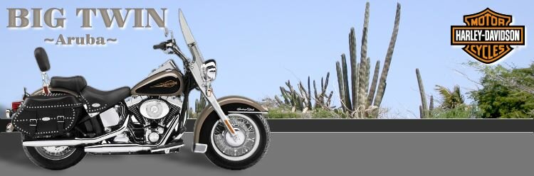 Aruba Harley-Davidson Rentals